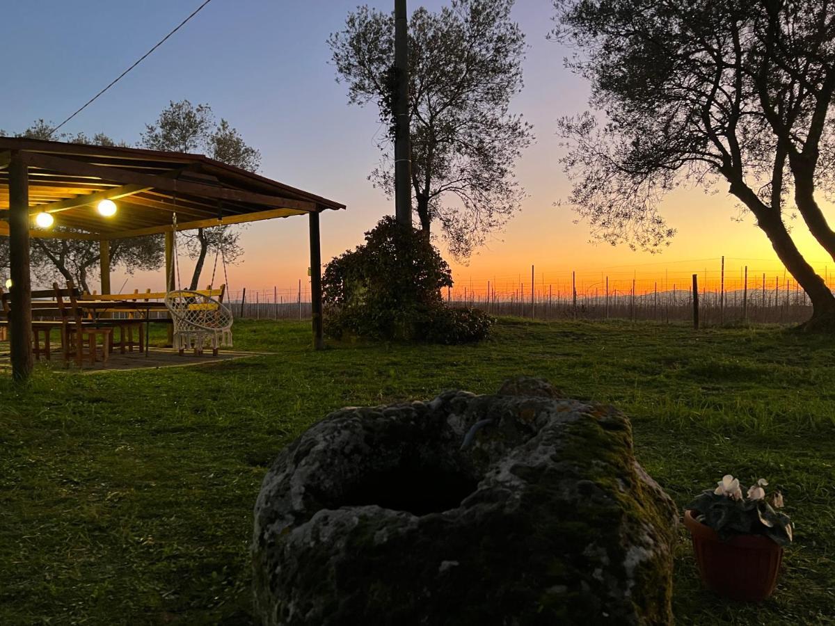 Agriturismo Tenuta Roccaccia Pitigliano Exterior foto